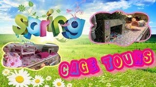 Spring Easter Guinea Pig Cage Tour 2015