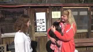 Stormarnlive-Kurzreportage Wasserschaden Im Tierheim