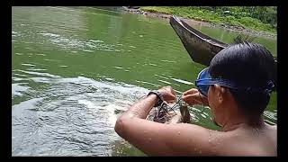 Tembak Ikan,  Menembak ikan Lampam Dam PLTA screenshot 5