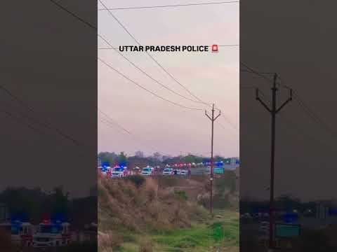 UP STF TEAM 🚨 #shorts #viral #reels #status #story #police #stf #army #lover #like #views #tranding