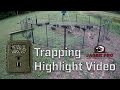 Wild Hog Trapping | Hog Trapping Video Highlight |  JAGER PRO™