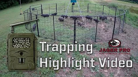 Wild Hog Trapping | Hog Trapping Video Highlight |  JAGER PRO™