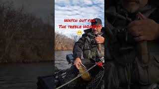 Dont Miss Out On Fall Jerkbait Smallmouth B Vision 110 Style