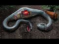 This Is Why Titanoboa Is Afraid of People