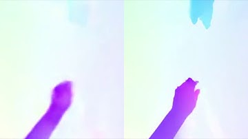 PWC-Net vs RAFT performance on Epic Kitchens