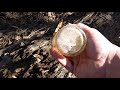 Antique Bottles found in Creek  / Birmingham Alabama