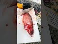 Excellent fish cutting #viralvideo #foryou #seafood #cute #highlights
