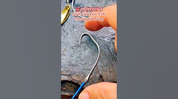 Lưỡi Câu Kéo Trứng Rùa Móng Heo Số 3 Lưỡi Câu Mồi Mềm Thép Ko Gỉ 1.8/5cm - ĐT: 0919111169