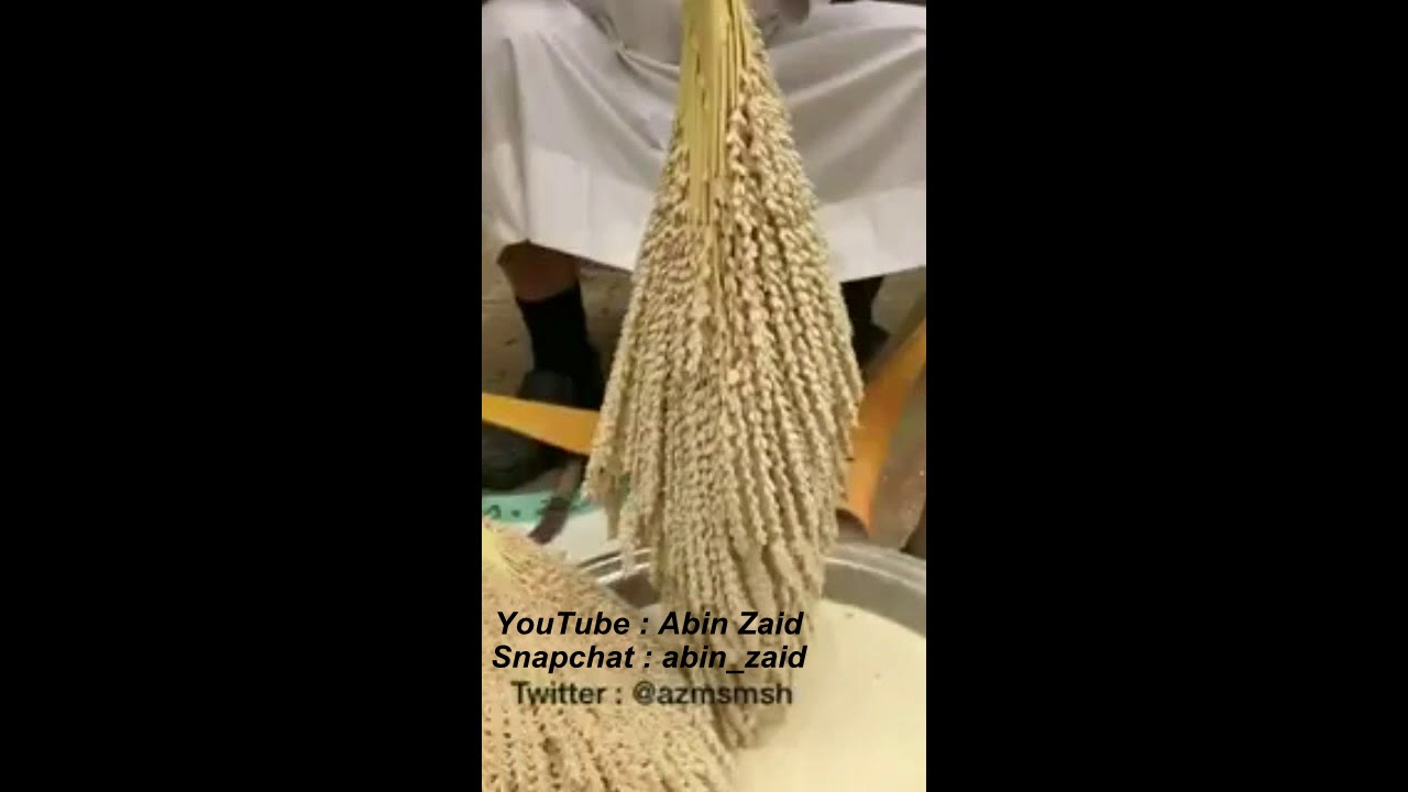 ابن زيد للتمور- لقاح فحول النخيل وأسراره الطبية وطريقة إستخلاصه.