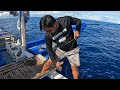 Big tunas highlights  pacific ocean  romzel tv