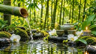 Zen Piano & Bamboo Water: The Ultimate Escape for Deep Sleep
