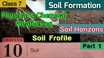 DAV class 7 Science chapter 10 Soil || Soil Formation & Soil Profile || Soil Horizons