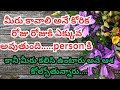 మీరు కలిసి ఉంటారు అనే ఆశ కోల్పోతున్నారు.. Tarot reading in telugu | love | relationship | telugu