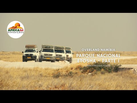 Vídeo: Parque Nacional Etosha: O Guia Completo