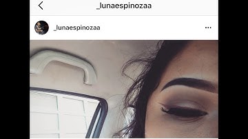 Quick Eyebrow Tutorial | Tutorial De Ceja | Anastasia Dip Brow Pomade