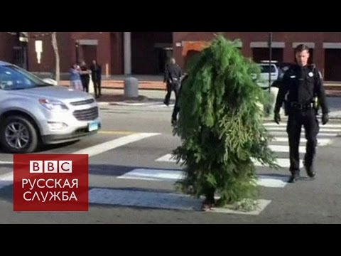 Видео: Мужчина в костюме Элмо арестован за нащупывание несовершеннолетнего