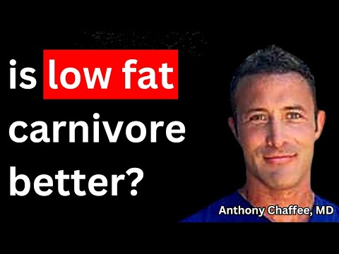 Should You Go LOW FAT On Carnivore?