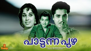 Padunna Puzha | Prem Nazir | Sheela | Jayabharathi | Adoor Bhasi | Sankaradi | T. R. Omana 