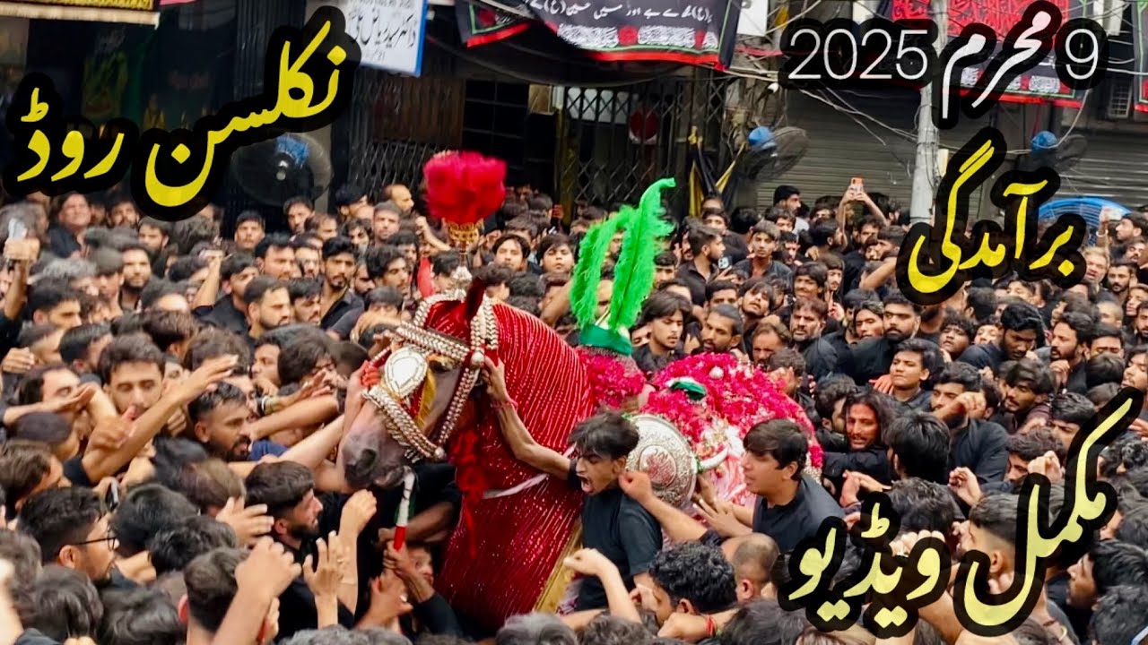 9 Muharram 2025 | Nicolson Road Baramdagi Zuljanah Shabi e Murtjiz | imam bargah atiya e ehlybait
