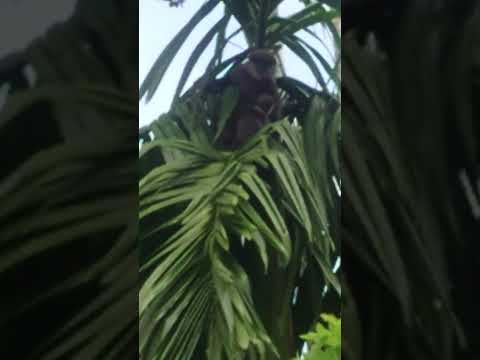 Someone spying on me! #shorts