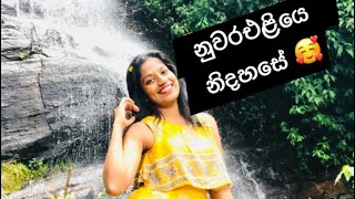 dancing nuwaraeliya hobbyfree timescholarship grade4 grade5 celebrity ශිෂ්‍යත්වය