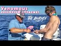 Portuguese Man o’ War ATTACKS While Fishing for Reef Donkeys!