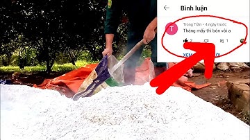 Tháng Mấy Thì Bón Vôi Được? tác dụng, tác hại của vôi bột đối với cây cam bưởi