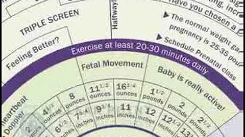 MyHealth® Pregnancy Planner to calculate your due date