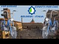 Renovation Of The Cimatti Mini Chic Moped Part 1 