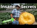 Championship Giant Pumpkin Grower Reveals All!