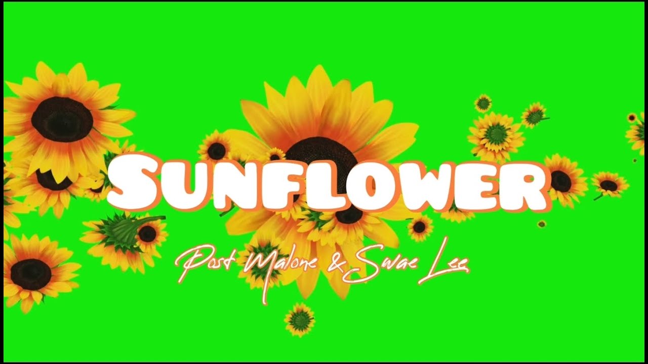 (1 Hour Lyrics) Sunflower Post Malone & Swae Lee YouTube