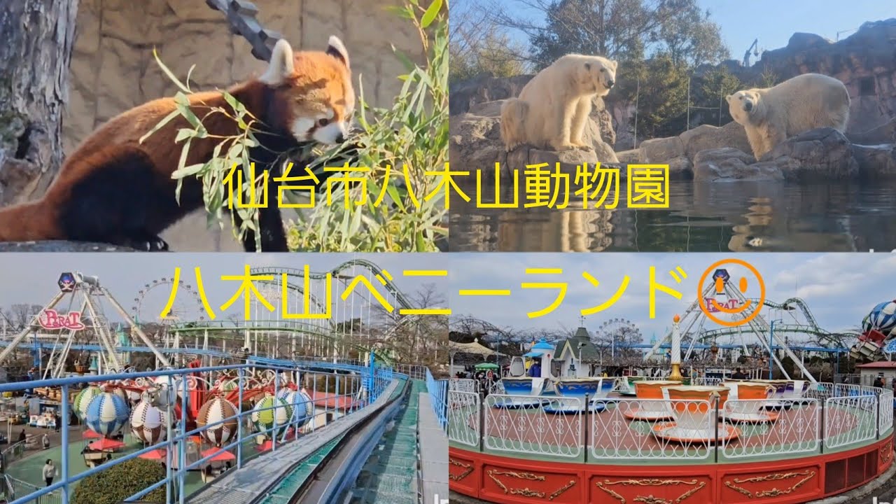 #八木山動物園 　八木山ベニーランド☺️ #仙台 #遊園地 #動物園