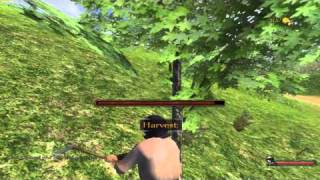 Mount and blades warband: Persistent World 4 mod "wood ownage" .