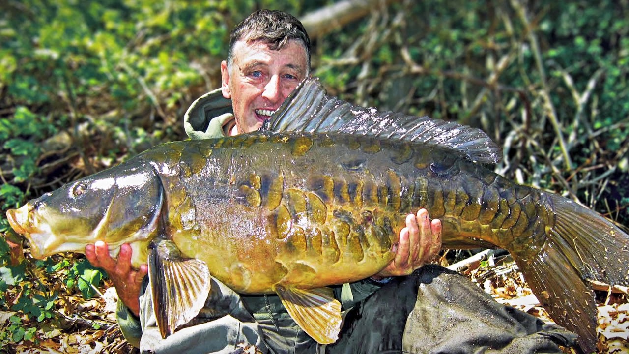 Monster Mirror Carp in the Blackstone River Valley (Full Episode) 