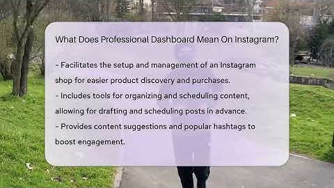 What Does Professional Dashboard Mean On Instagram? - Everyday-Networking
