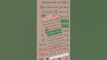 قرآن كريم راحة نفسية صوت جميل #اكسبلور #القران #لايك #تيك_توك #راحة_نفسية #دويتو #duet #ترند #قرآن