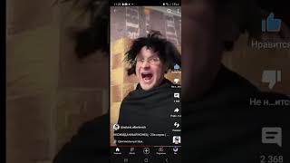 почему птицы улетают на юг