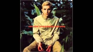 Video thumbnail of "Jay-Jay Johanson - Quel Dommage"