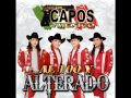 Los Capos De Mexico- La Canelera