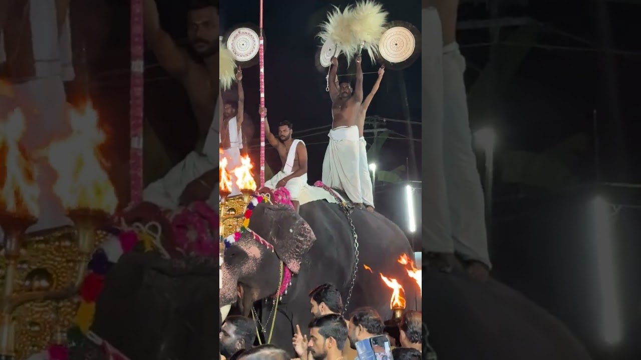 ഗംഭീര പഞ്ചവാദ്യം | ശിവരാത്രി മഹോത്സവം വയലൂർ | പറയ്ക്കാട്ട് തങ്കപ്പൻ | 2026  part 1