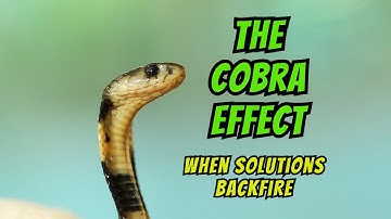 The Cobra Effect: When Solutions Backfire (3-Minute Overview)