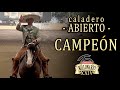 campeon 1er lugar CALADERO ABIERTO - Cuco Raya - Campeonato Millonario 2021 THV