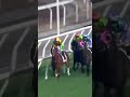 3 | JUMBO TREASURE | K C Leung | #KCLeung #Leung #Horse #Racing #Sport #Results #賽馬結果 #马會 #油管 #赛马结果