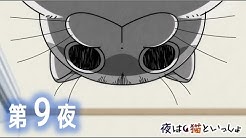 アニメ 夜は猫といっしょ チャンネル Youtube