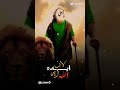 علي سر صعب حلة    الرادود ذو الفقار الكعبي نجومي