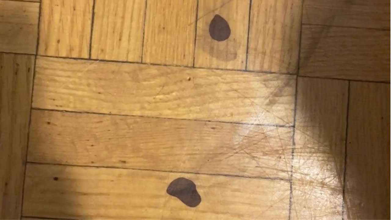 Remove Hair Dye From Wooden Floor, How To Get Dye Off Laminate Flooring
