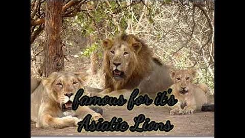 MNS previous year question part - 4 #shorts #mns #MNS2022