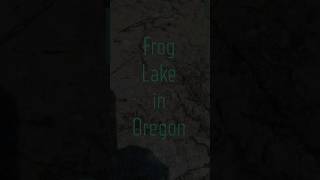 Just checking out campsites at Frog Lake in Oregon. | @DREakaLUZIO | Just checking out campsites at Frog Lake in Oregon. | @DREakaLUZIO |