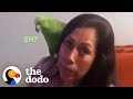 Spanish Speaking Parrot Mothers His Human Brother | The Dodo Soulmates