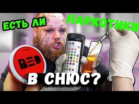 СНЮС это НАРКОТИК !? Почему ЗАПРЕТИЛИ снюс